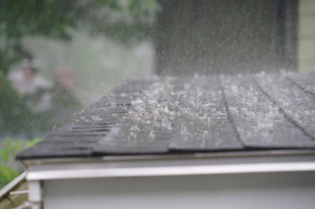 Best Roof Coating and Sealing  in Belmont, PA
